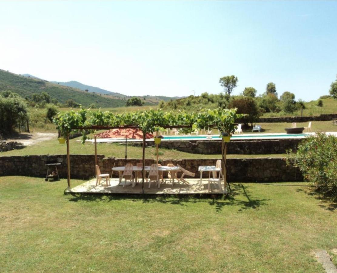 Gites Carbuccia En Corse Avec Piscine Chauffee Exterior foto