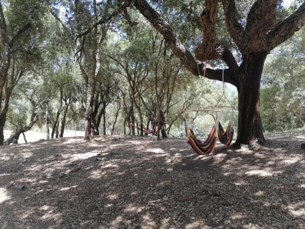 Gites Carbuccia En Corse Avec Piscine Chauffee Exterior foto