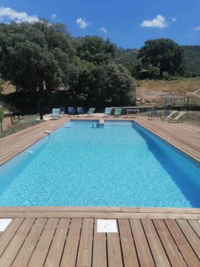 Gites Carbuccia En Corse Avec Piscine Chauffee Exterior foto
